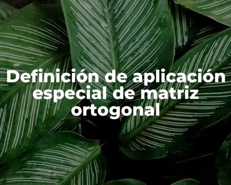Definición de aplicación especial de matriz ortogonal
