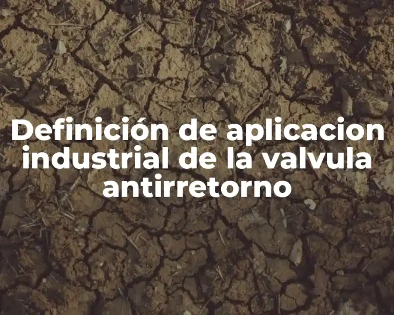 Definición de aplicacion industrial de la valvula antirretorno