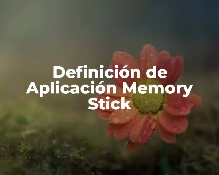 Definición de Aplicación Memory Stick