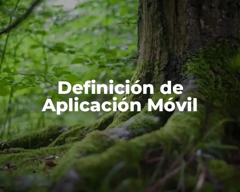 Definición de Aplicación Móvil