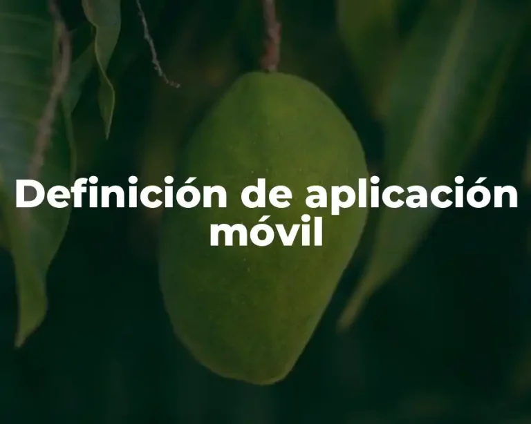 Definición de aplicación móvil