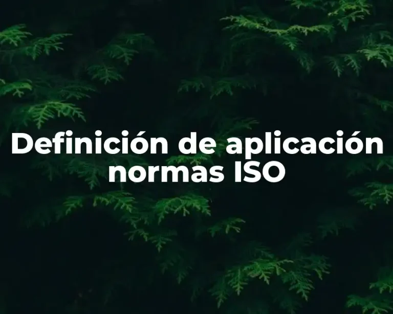 Definición de aplicación normas ISO