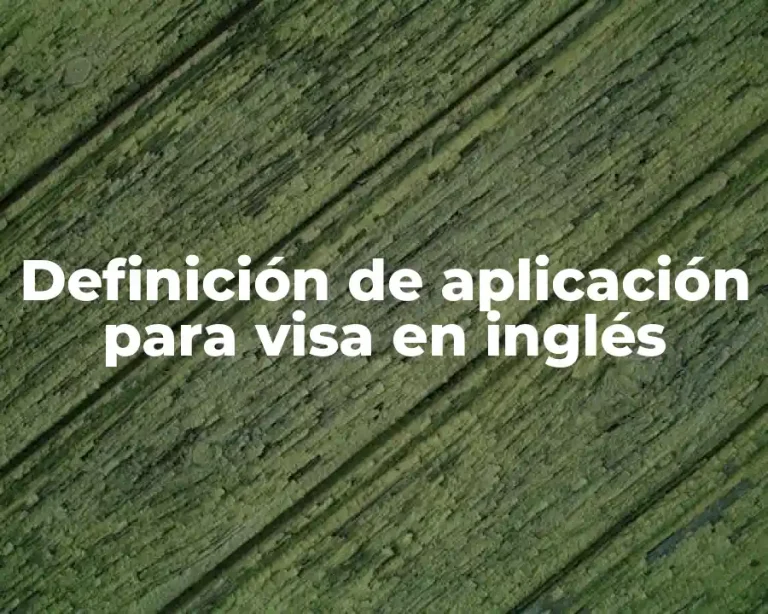 Definición de aplicación para visa en inglés