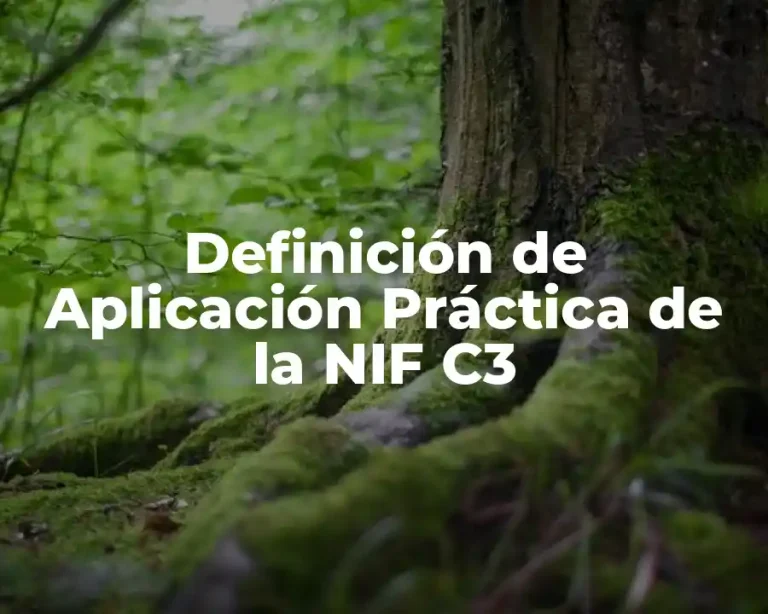 Definición de Aplicación Práctica de la NIF C3