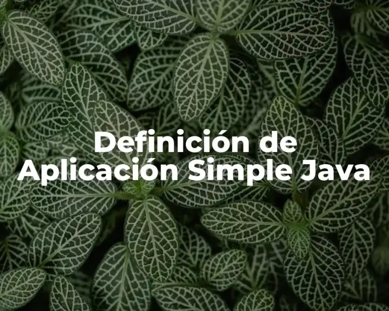 Definición de Aplicación Simple Java