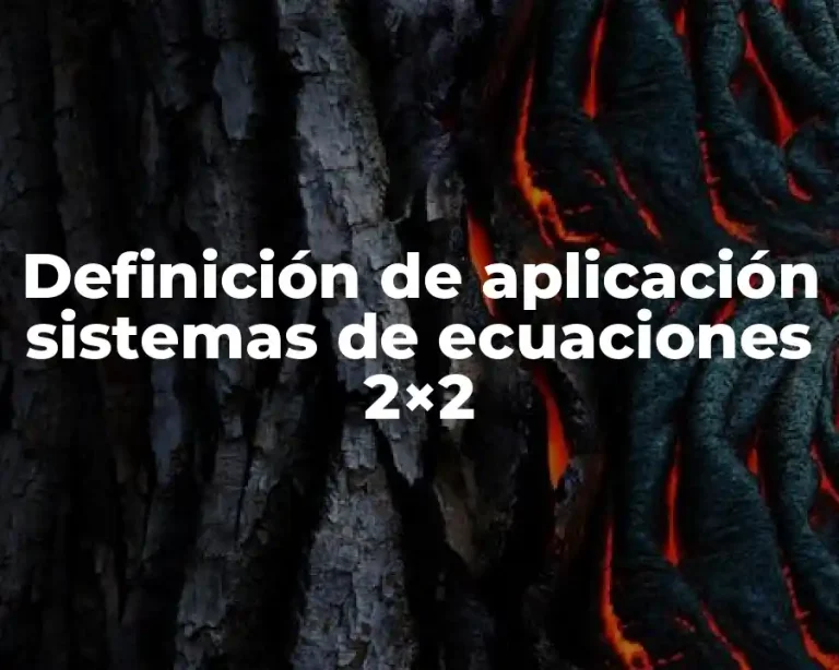Definición de aplicación sistemas de ecuaciones 2×2