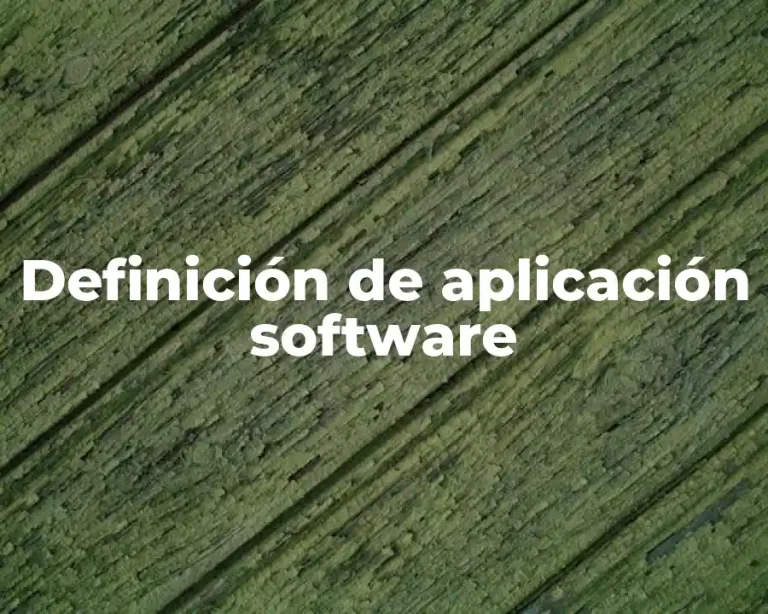 Definición de aplicación software