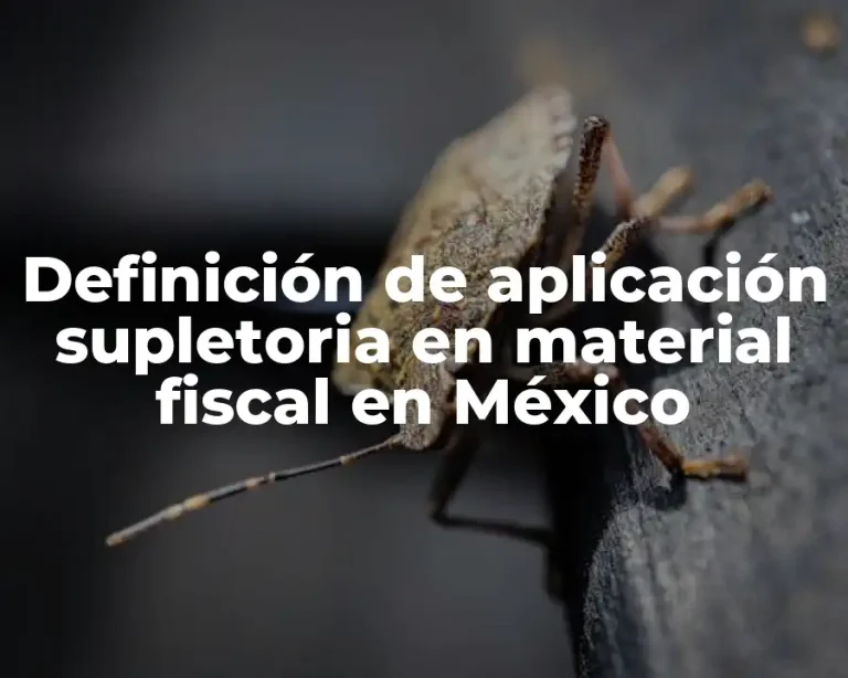 Definición de aplicación supletoria en material fiscal en México