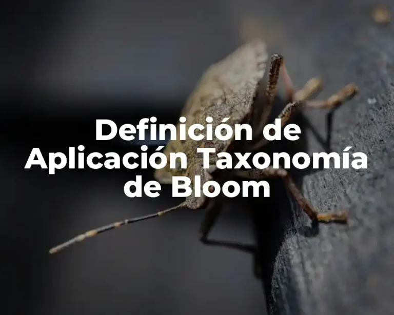 Definición de Aplicación Taxonomía de Bloom
