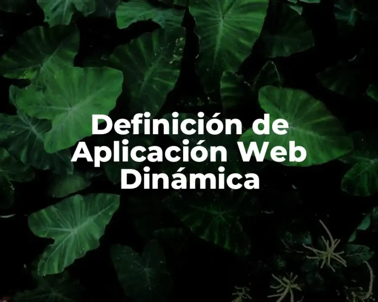 Definición de Aplicación Web Dinámica