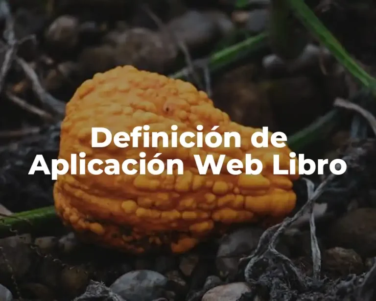 Definición de Aplicación Web Libro