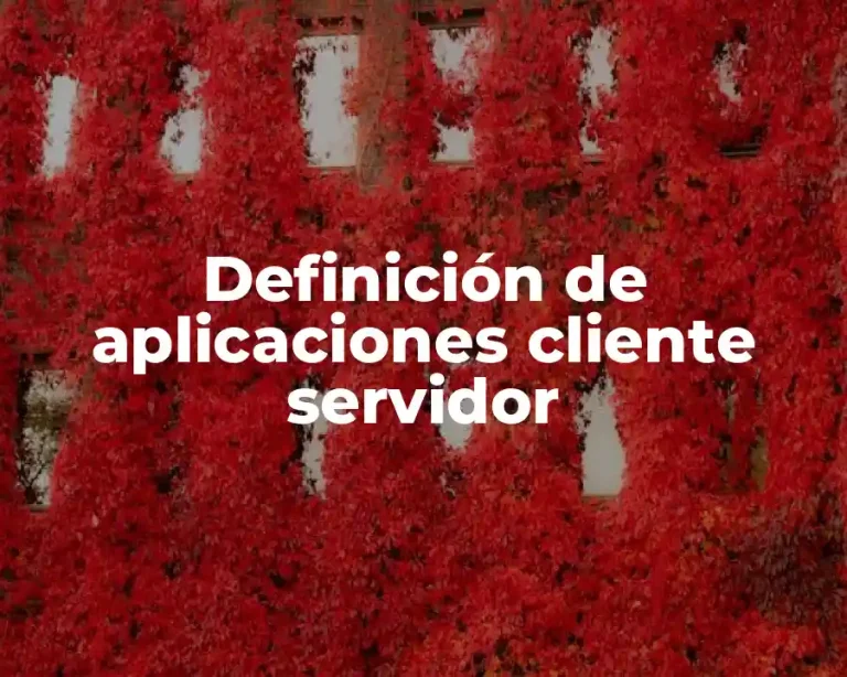 Definición de aplicaciones cliente servidor