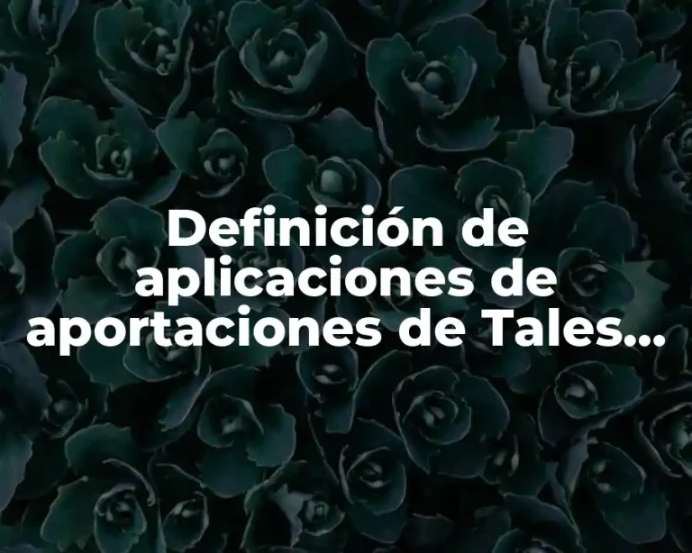Definición de aplicaciones de aportaciones de Tales de Mileto