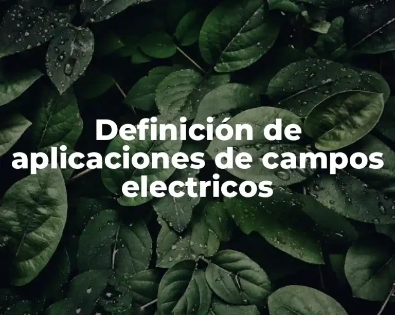 Definición de aplicaciones de campos electricos