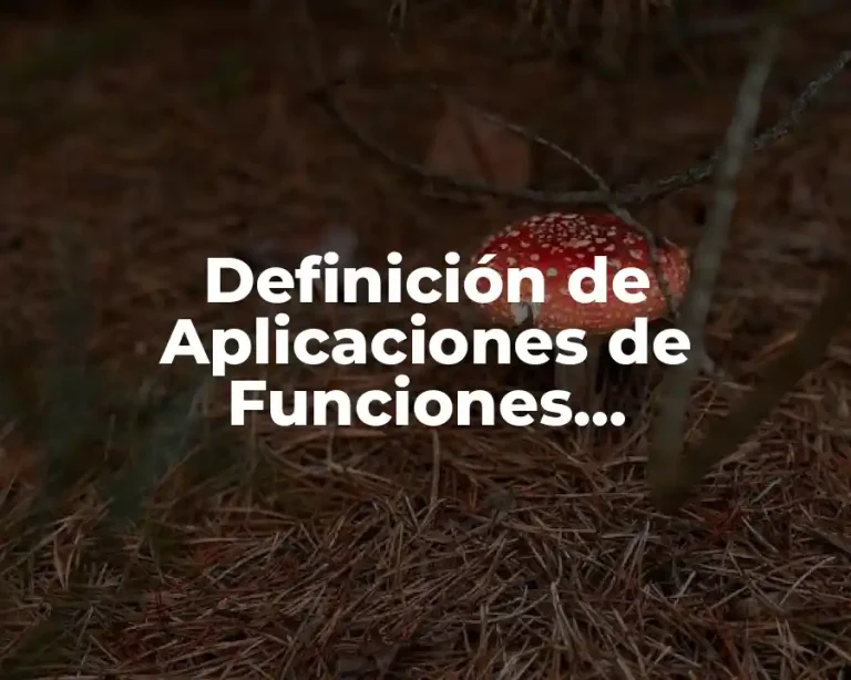 Definición de Aplicaciones de Funciones Exponenciales