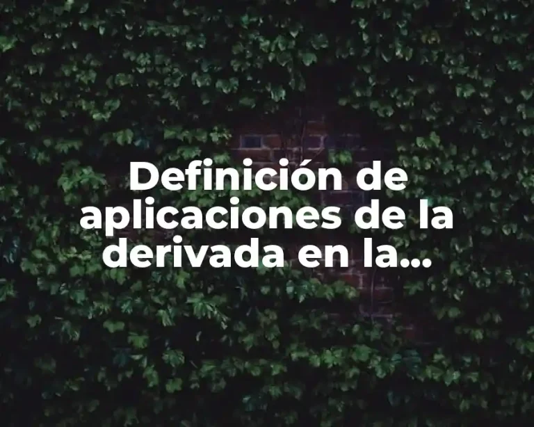 Definición de aplicaciones de la derivada en la arquitectura