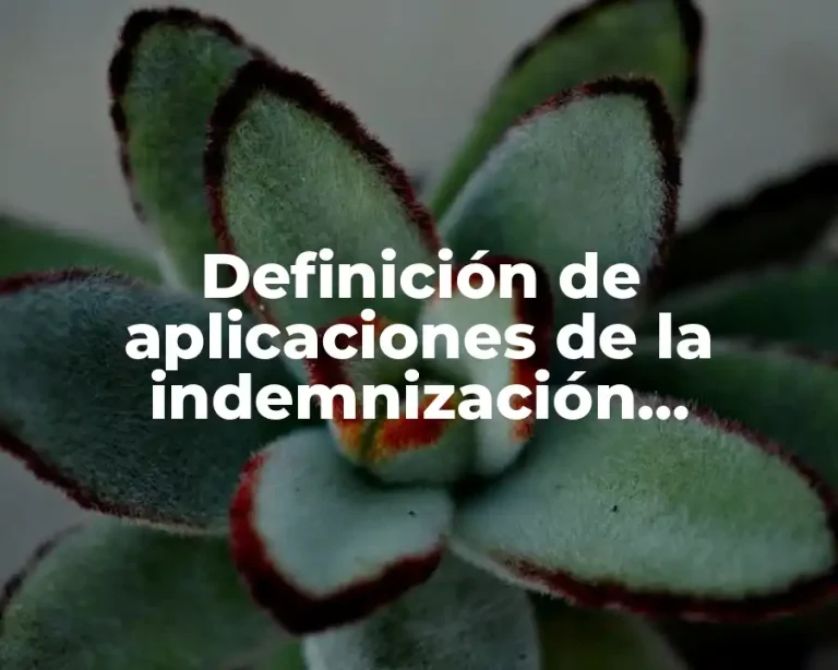 Definición de aplicaciones de la indemnización temporal mexicanos