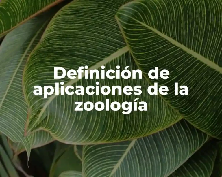 Definición de aplicaciones de la zoología