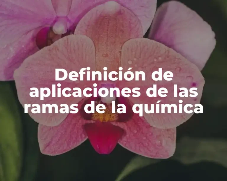 Definición de aplicaciones de las ramas de la química