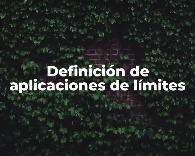 Definición de aplicaciones de límites