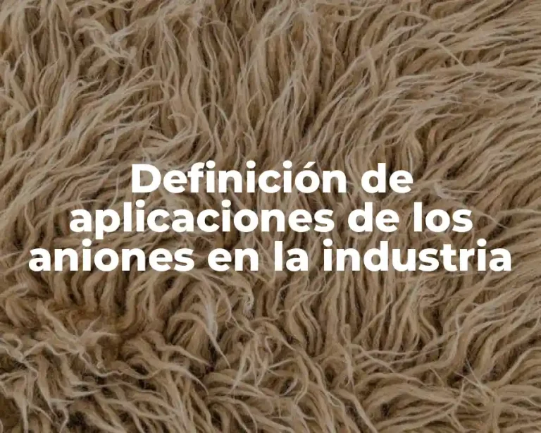 Definición de aplicaciones de los aniones en la industria