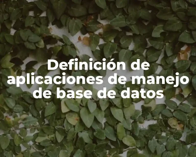 Definición de aplicaciones de manejo de base de datos