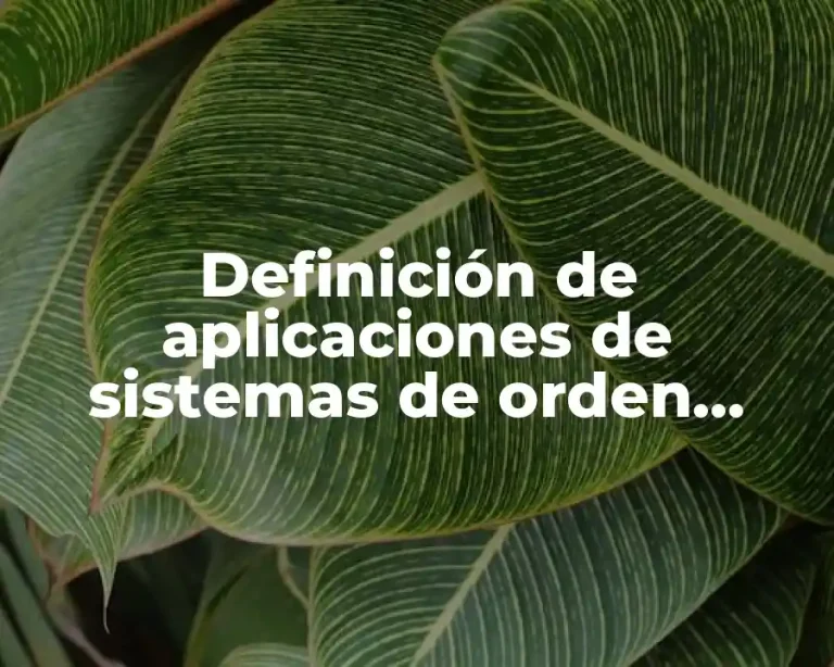 Definición de aplicaciones de sistemas de orden superior