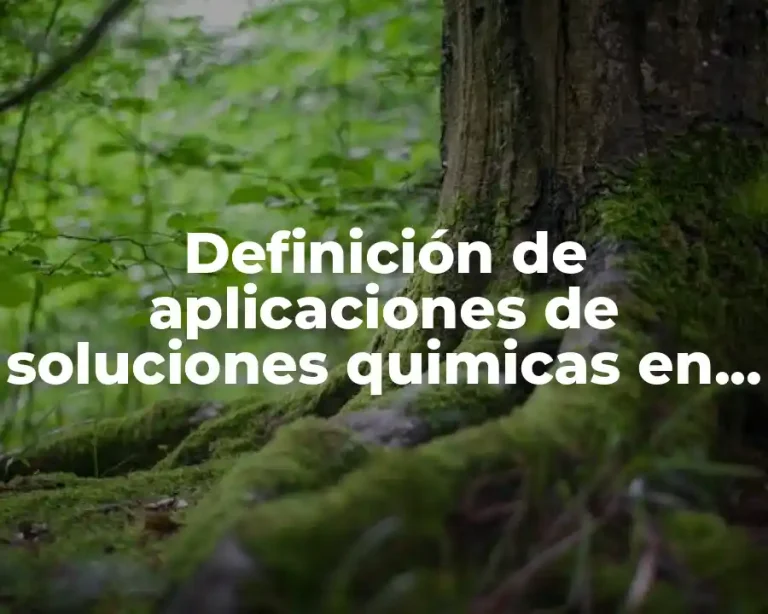 Definición de aplicaciones de soluciones quimicas en el area hotelera