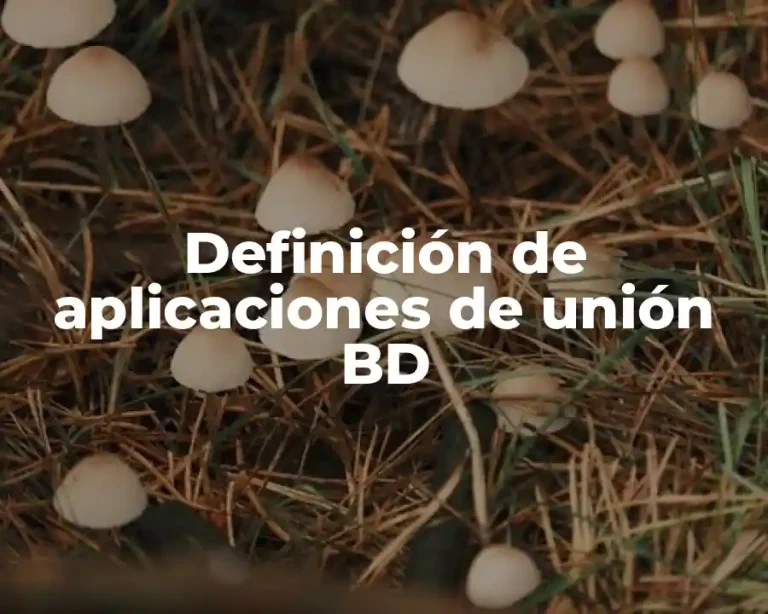 Definición de aplicaciones de unión BD