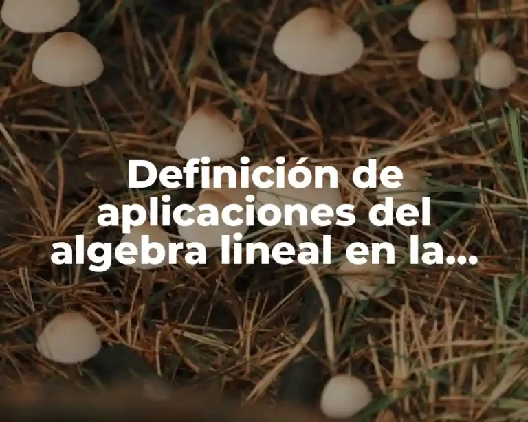Definición de aplicaciones del algebra lineal en la ingenieria civil