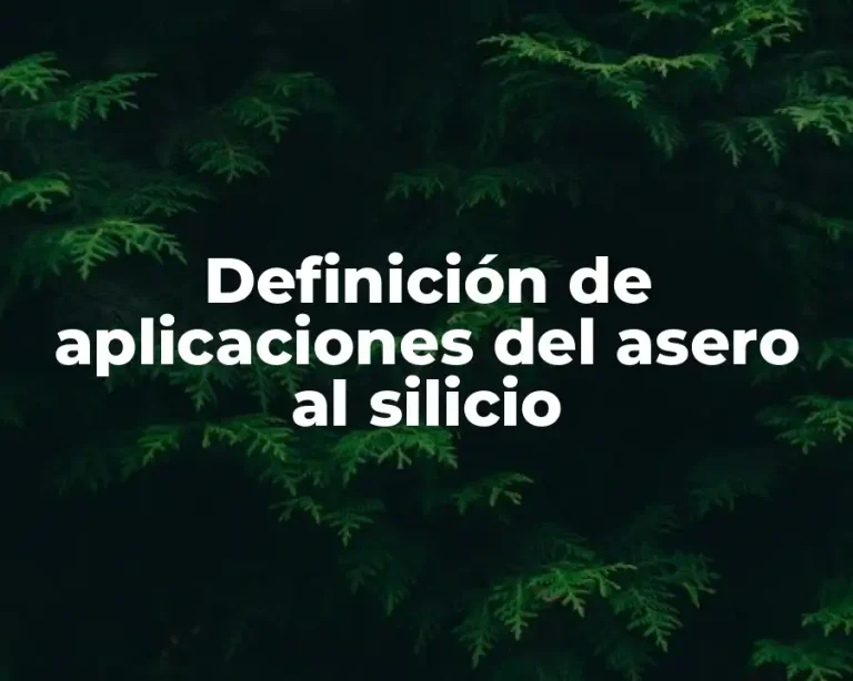 Definición de aplicaciones del asero al silicio