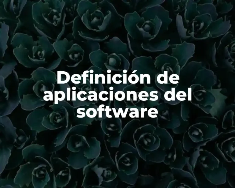 Definición de aplicaciones del software