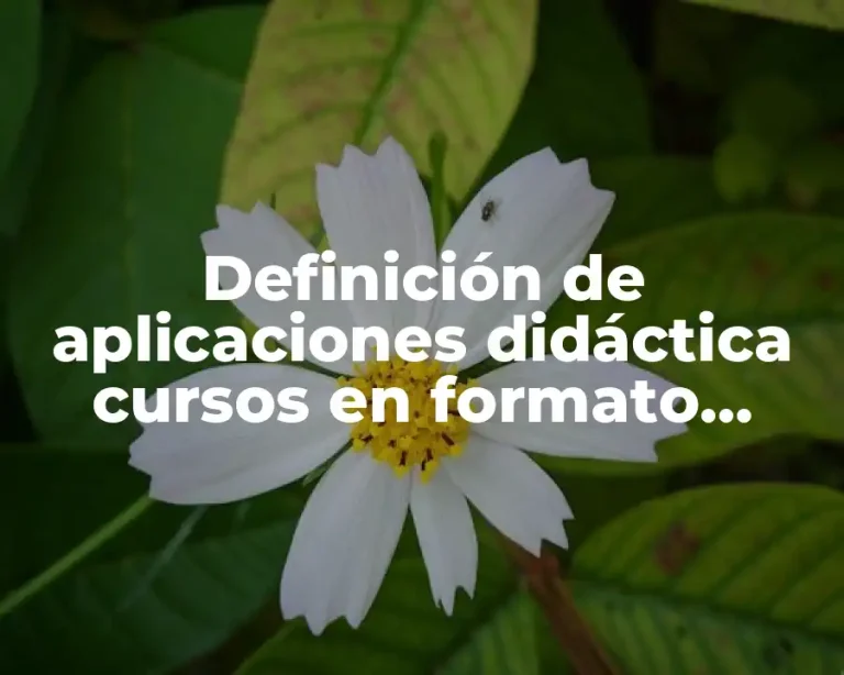 Definición de aplicaciones didáctica cursos en formato digital
