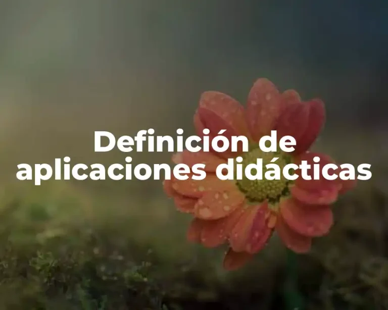Definición de aplicaciones didácticas