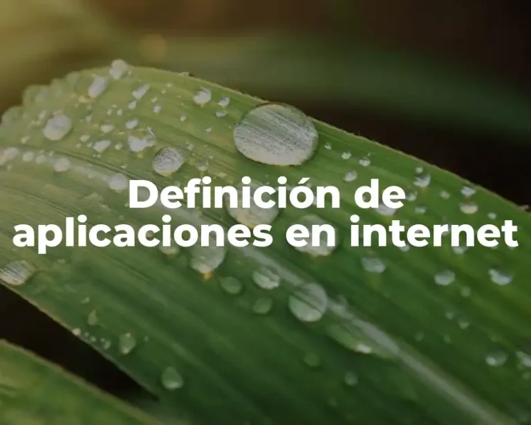 Definición de aplicaciones en internet