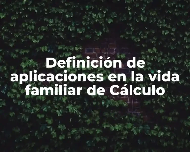 Definición de aplicaciones en la vida familiar de Cálculo