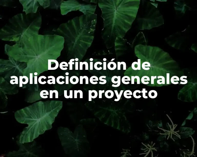 Definición de aplicaciones generales en un proyecto