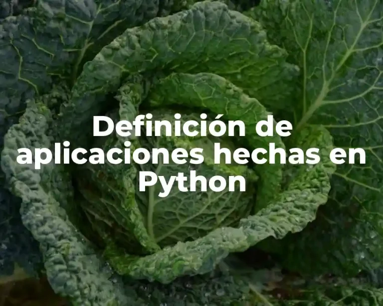 Definición de aplicaciones hechas en Python