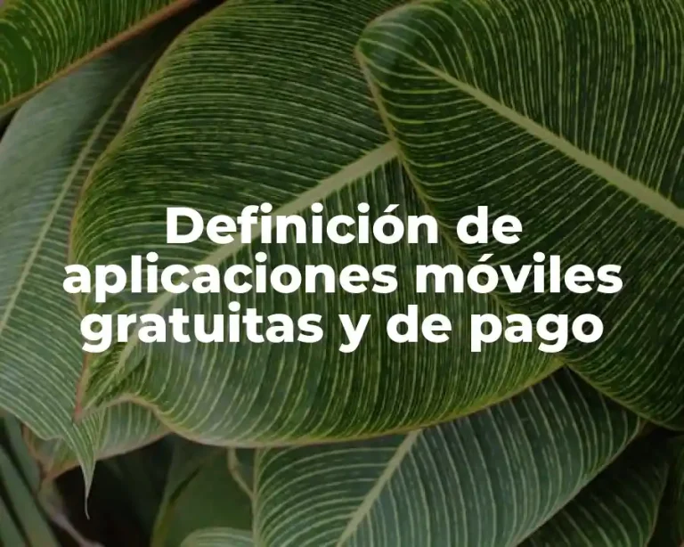Definición de aplicaciones móviles gratuitas y de pago