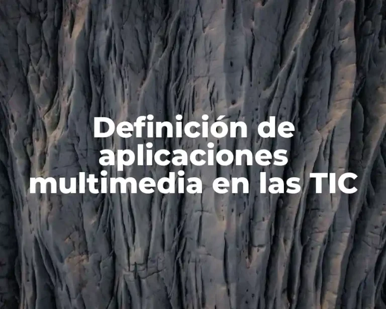 Definición de aplicaciones multimedia en las TIC