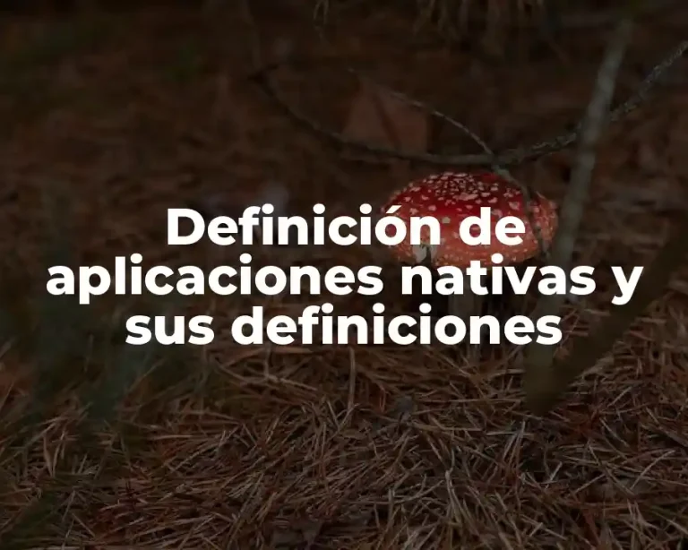 Definición de aplicaciones nativas y sus definiciones