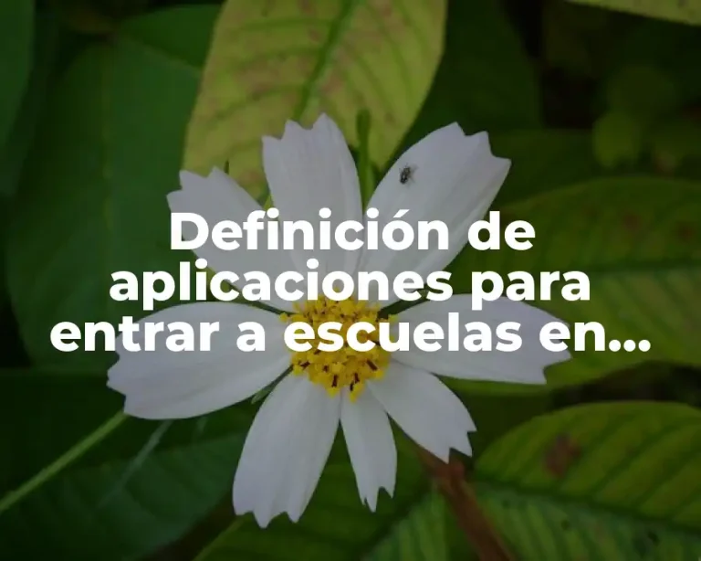 Definición de aplicaciones para entrar a escuelas en inglés
