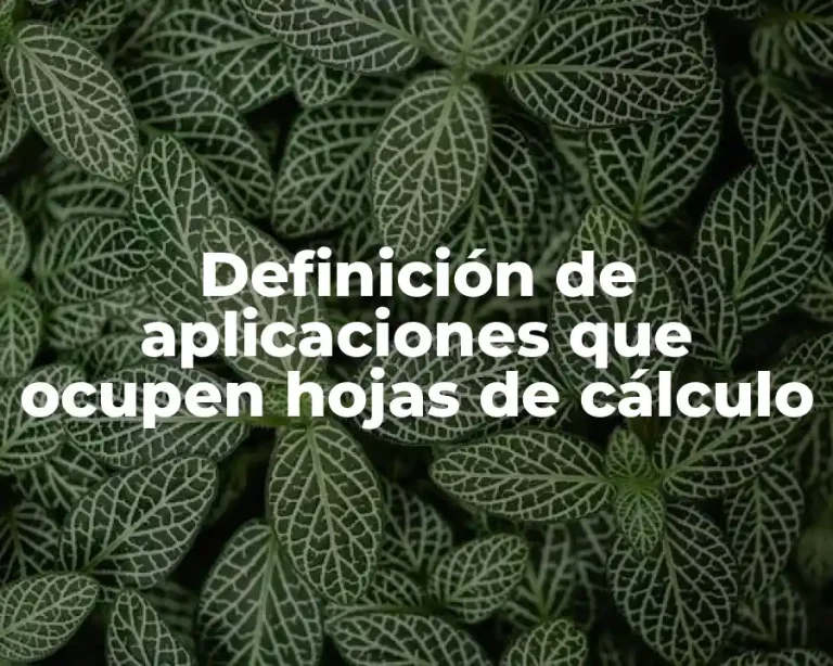 Definición de aplicaciones que ocupen hojas de cálculo