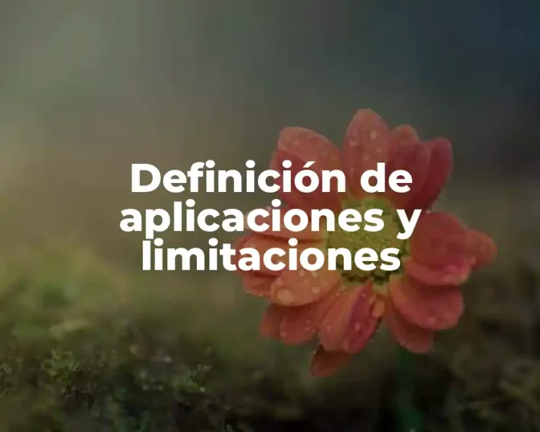 Definición de aplicaciones y limitaciones