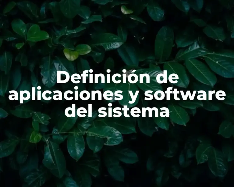 Definición de aplicaciones y software del sistema