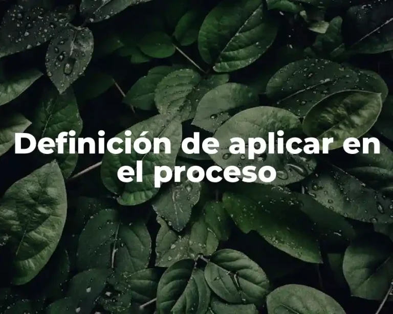 Definición de aplicar en el proceso