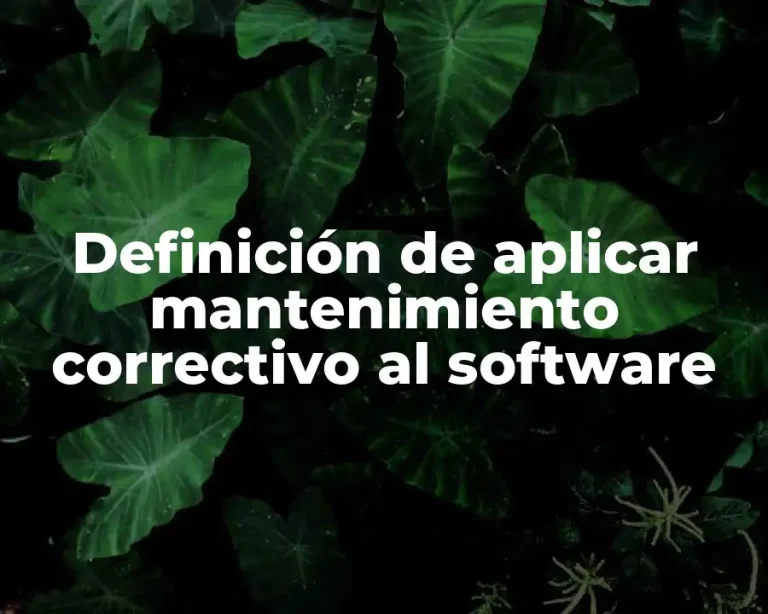 Definición de aplicar mantenimiento correctivo al software