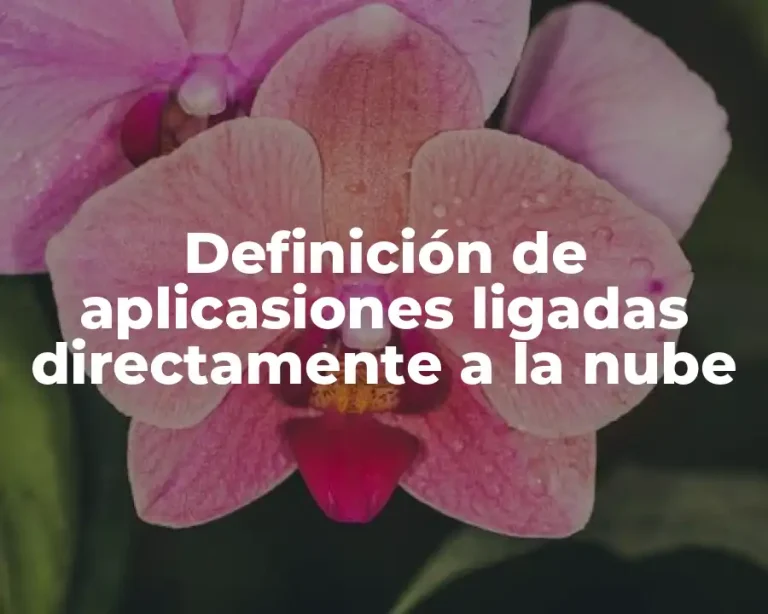 Definición de aplicasiones ligadas directamente a la nube