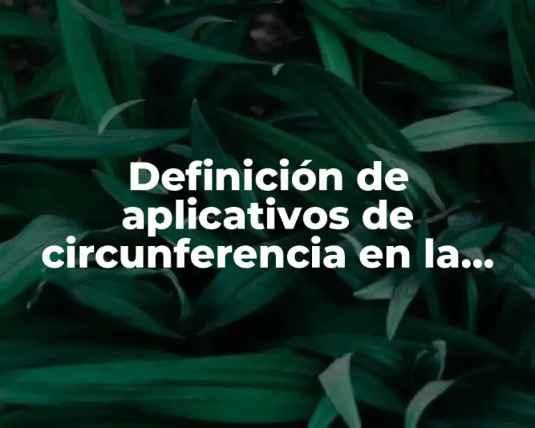 Definición de aplicativos de circunferencia en la vida diaria