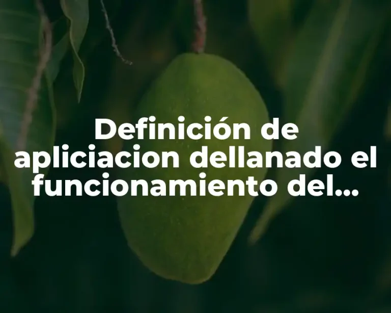 Definición de apliciacion dellanado el funcionamiento del cable ethernet